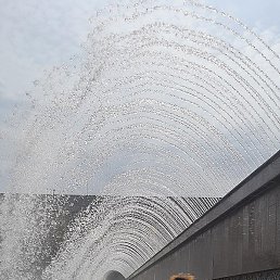 �����, ����, 54 ����