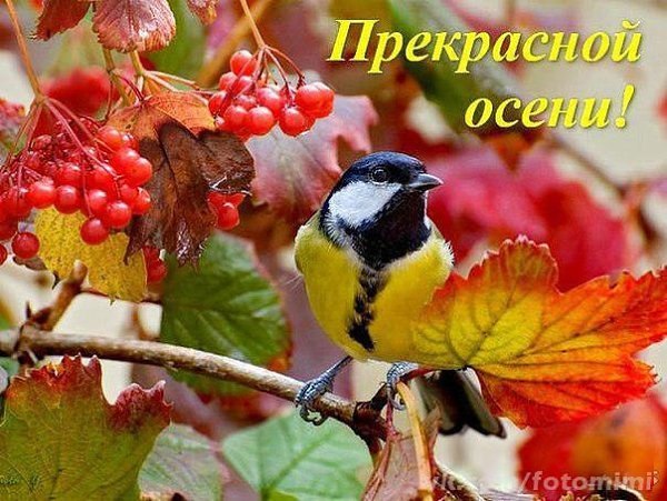  - 16  2024  12:12