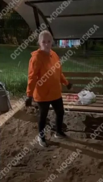 «Иди, мась, жри их всех».На северо-востоке Москвы собачница натравила пса на посетителей и собак на ... - 2