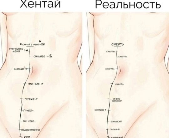 Мужчины, не принимайте это слишком близко — такова реальная женская анатомия