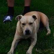 �������, 54 ����, ����������� ����