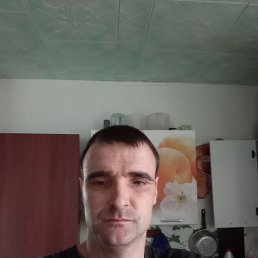 , 33, 