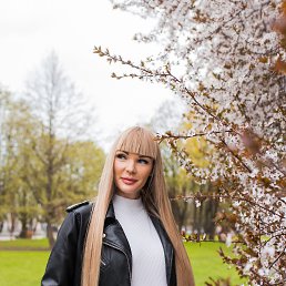 , 33 , 