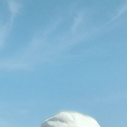 ������, �����������, 50 ���