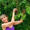 ���� �������, ������, 68 ��� - ��������� 29 ��� 2025 � ������ ������ ��������