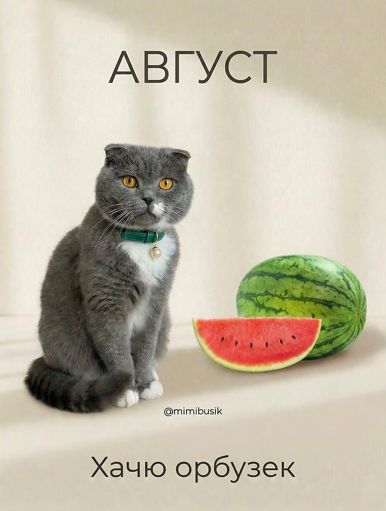 �����������������y�� - 6