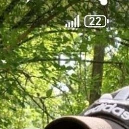  , 37, 