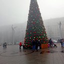 ���� �������, ����, 44 ���� - ��������� 5 ������� 2024