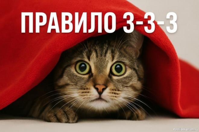 ���� ����� ����������� ���� � ������������. ��� ����� �������� ������� �������, ����������� �� ...