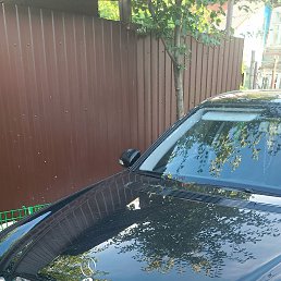 ���� ���, �������, 36 ��� - ��������� 2 ���� 2025