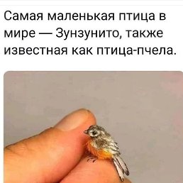 �������, ������, 47 ���