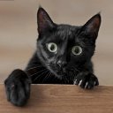 ���� ����, ������������ - ��������� 21 ���� 2025 � ������ ���� ����������