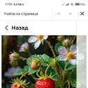 ���� ����, ������, 63 ���� - ��������� 12 ������� 2025 � ������ ���� ����������