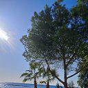 ���� �����, ������, 60 ��� - ��������� 20 ������ 2025 � ������ ���� ����������