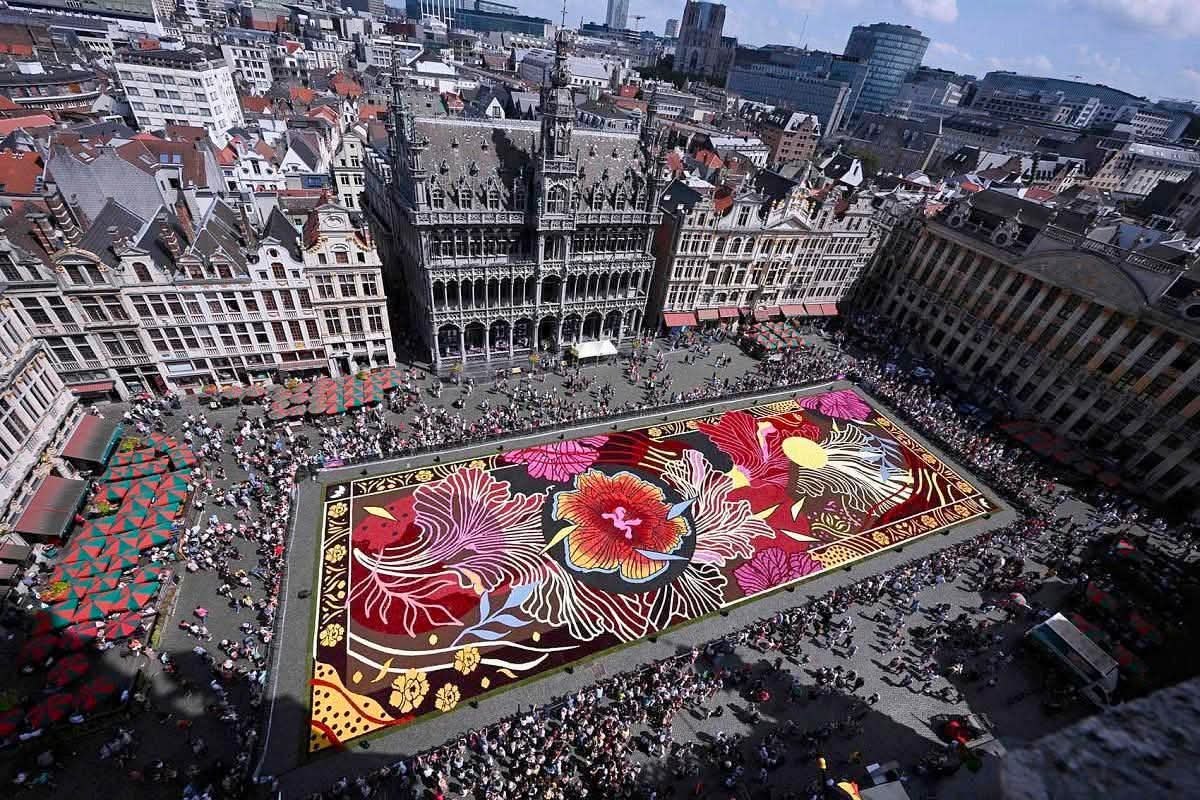 :) На площади Гран-Плас в Брюсселе выложили цветочный ковер в стиле модерн площадью 1,7 тыс. кв. м. ...