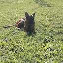 ���� �����, ������, 50 ��� - ��������� 7 ��� 2024 � ������ ���� ����������