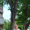 ���� ���������, ��������, 50 ��� - ��������� 12 ������ 2026