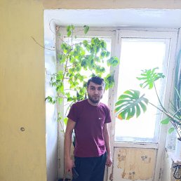 , 36 , 