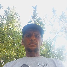 , 38, 