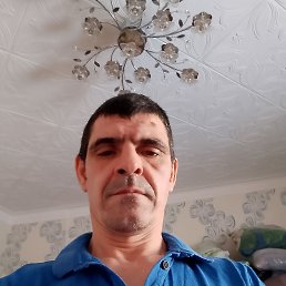 , 43 , 