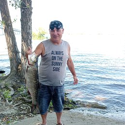 , 55, 