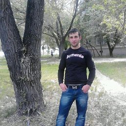, 33, 