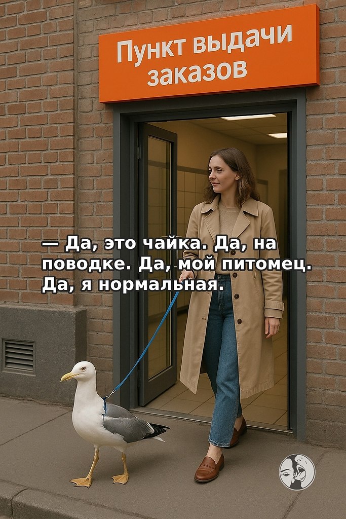 Женщина пришла в пункт выдачи заказов... с чайкой на поводке. Да, всё верно. Не собака. Не кот. ...