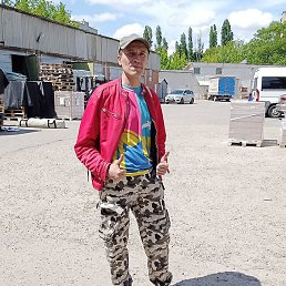 ����, ���������, 44 ����