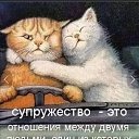 ���� ���������, ������, 55 ��� - ��������� 3 �������� 2024 � ������ ���� ����������