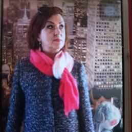 ���� ����, �����, 84 ���� - ��������� 20 ����� 2026