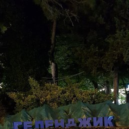 ���� ������, ������, 46 ��� - ��������� 24 ���� 2024