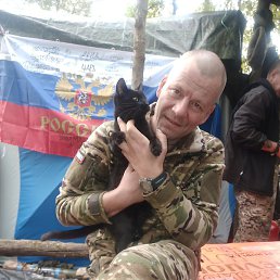 ����, �����������, 43 ����