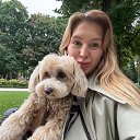 ���� �������, �����, 33 ���� - ��������� 18 ������� 2025