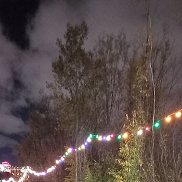 �����, 46 ���, ������