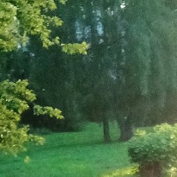 ����, �����������, 25 ���