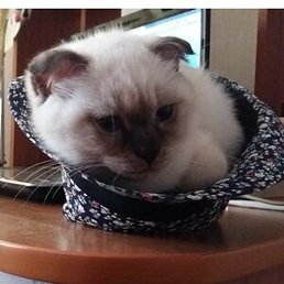 ������, ������, 53 ����