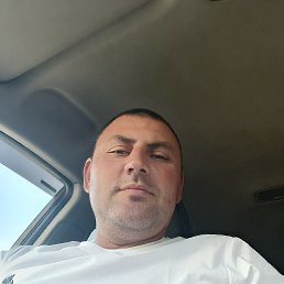 , 39, 