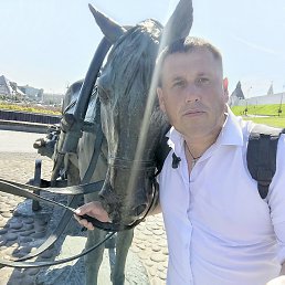 , 41 , 