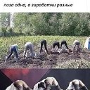 ���� �������, �����, 37 ��� - ��������� 7 ������ 2023 � ������ ���� ����������