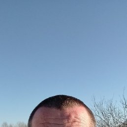 ��������, ������, 41 ���