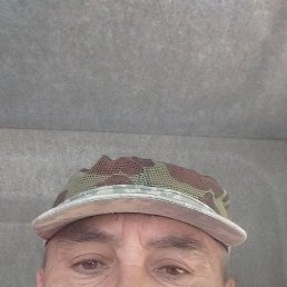 , 53 , 