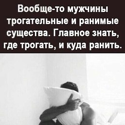 Sardor, �������, 25 ���