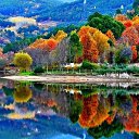 ���� ������, ������, 53 ���� - ��������� 11 ������ 2024 � ������ ���� ����������