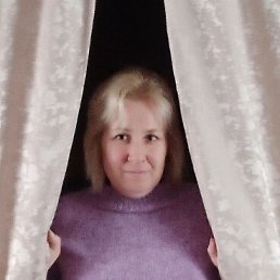 ���� ����������, �����������, 43 ���� - ��������� 2 ����� 2026