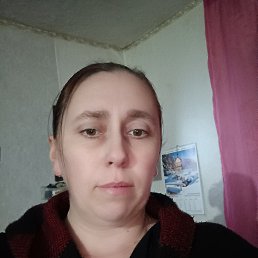 ���� ����, �������, 40 ��� - ��������� 24 ��� 2026