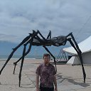 ���� ˸���, �����, 30 ��� - ��������� 1 ���� 2025