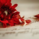 ���� L, ��������� - ��������� 13 ���� 2025 � ������ ������ ��������