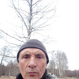 ����, 59 ���, ����