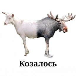 Andrey, �������, 19 ���