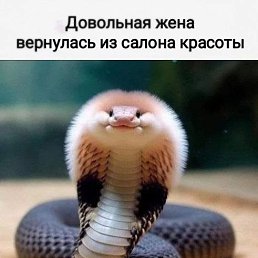 ���� ������, ������ �������� - ��������� 4 ����� 2025